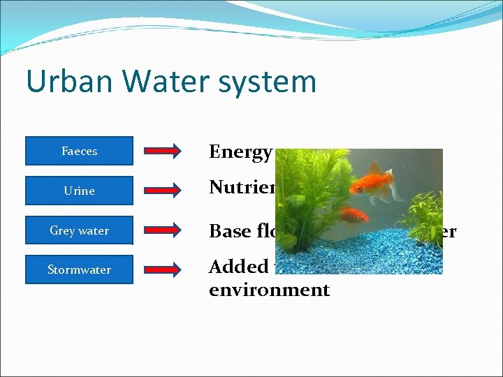 Urban Water system Faeces Energy Urine Nutrients (phosphates) Grey water Stormwater Base flow –