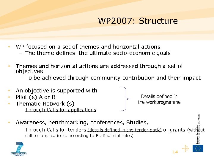 WP 2007: Structure • WP focused on a set of themes and horizontal actions