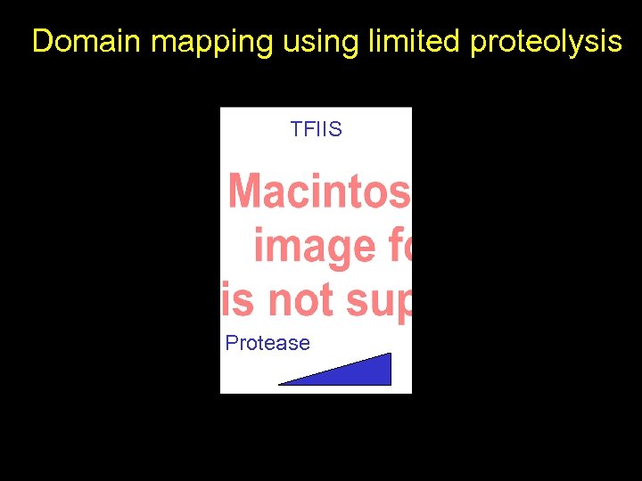 Domain mapping using limited proteolysis TFIIS Protease Integrative Proteomics 