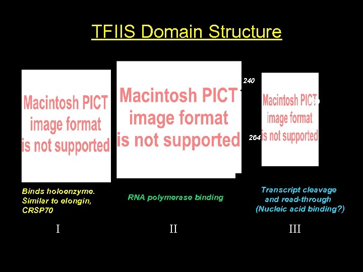 TFIIS Domain Structure 240 309 264 1 124 131 Binds holoenzyme. Similar to elongin,