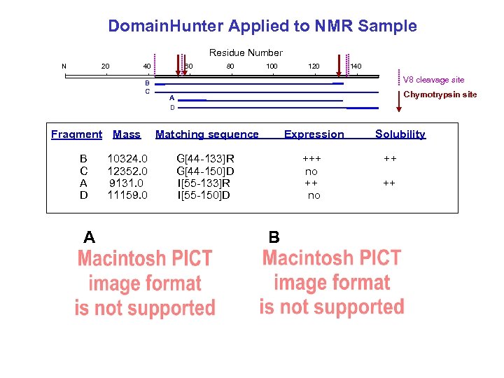 Domain. Hunter Applied to NMR Sample Residue Number N 20 40 B C Fragment