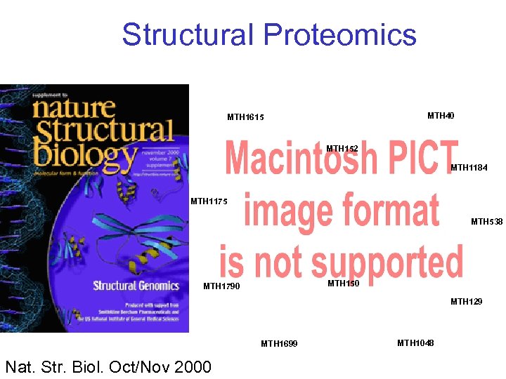 Structural Proteomics MTH 40 MTH 1615 MTH 152 MTH 1184 MTH 1175 MTH 538