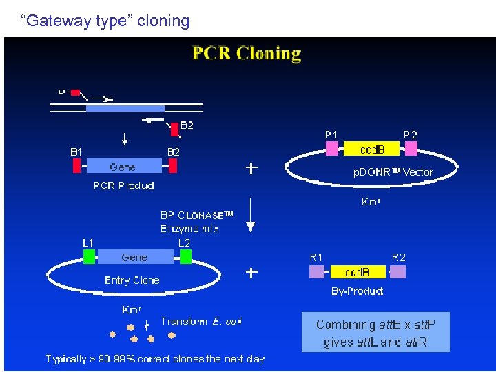 “Gateway type” cloning 