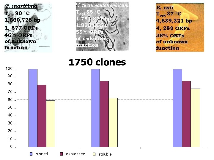 1750 clones 100 90 80 70 60 50 40 30 20 10 0 cloned