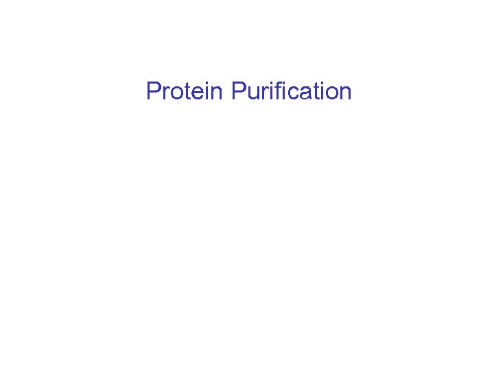 Protein Purification 