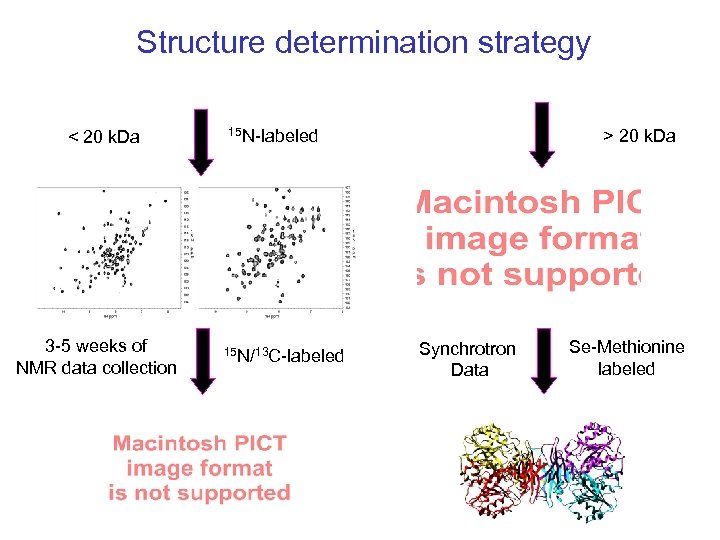 Structure determination strategy < 20 k. Da 3 -5 weeks of NMR data collection