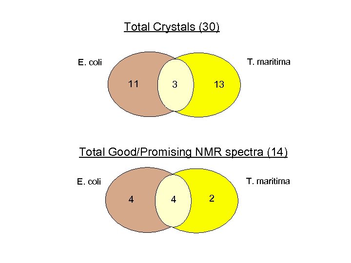 Total Crystals (30) T. maritima E. coli 11 3 13 Total Good/Promising NMR spectra