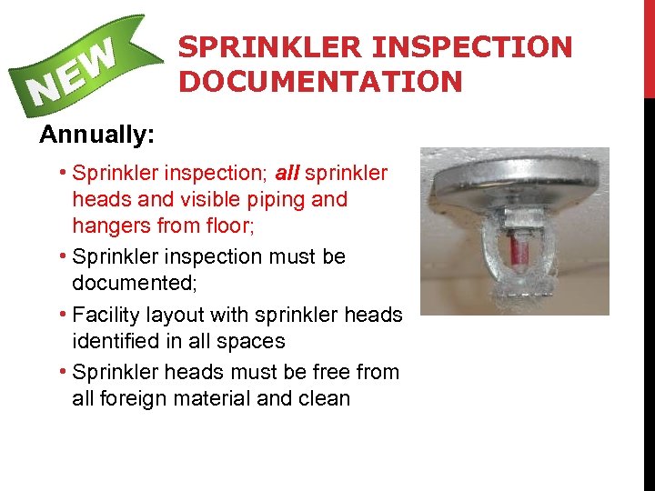 SPRINKLER INSPECTION DOCUMENTATION Annually: • Sprinkler inspection; all sprinkler heads and visible piping and