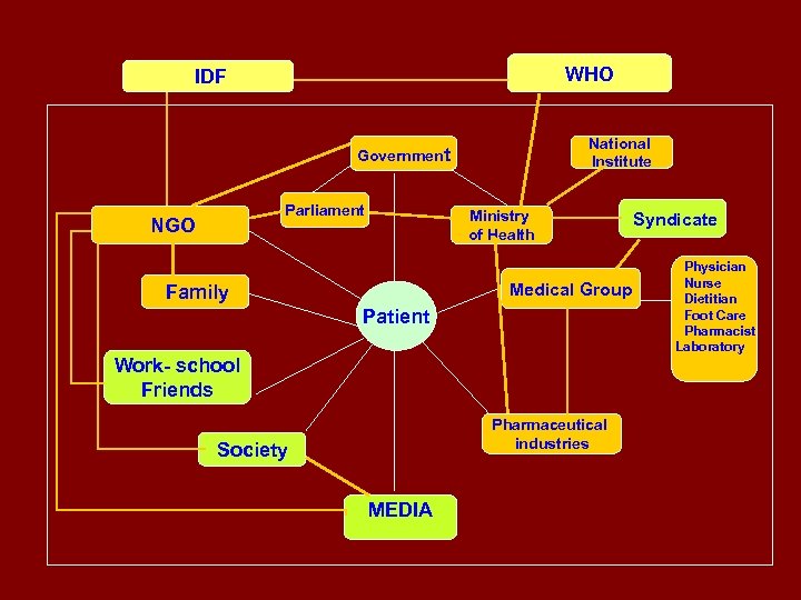 WHO IDF National Institute Government Parliament NGO Ministry of Health Medical Group Family Patient
