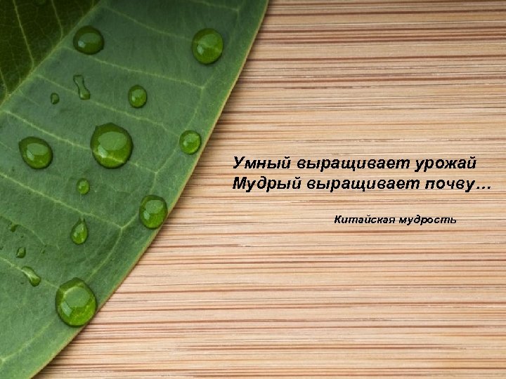  Умный выращивает урожай Мудрый выращивает почву… Китайская мудрость 