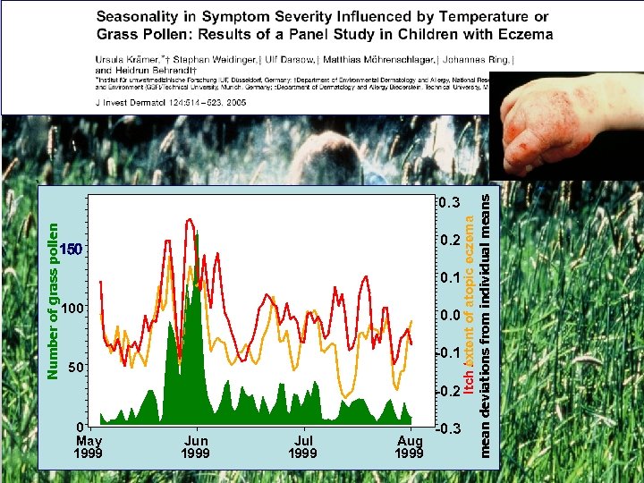Number of grass pollen 150 0 May 1999 0. 2 0. 1 100 0.