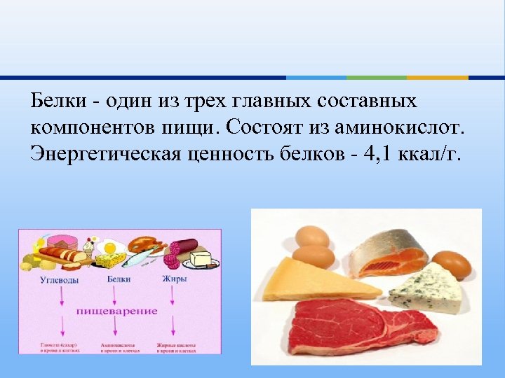 Белки - один из трех главных составных компонентов пищи. Состоят из аминокислот. Энергетическая ценность