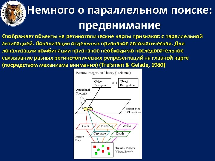 Немного о параллельном поиске: предвнимание Отображает объекты на ретинотопические карты признаков с параллельной активацией.