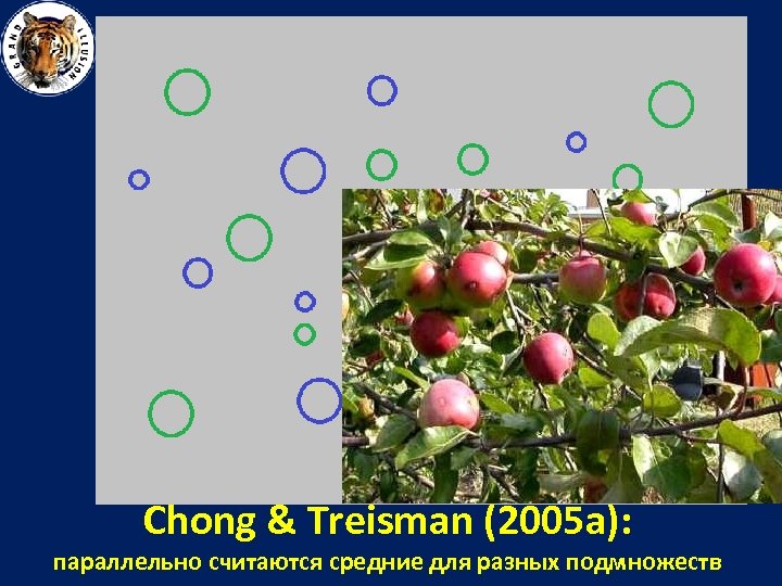 Chong & Treisman (2005 a): параллельно считаются средние для разных подмножеств 