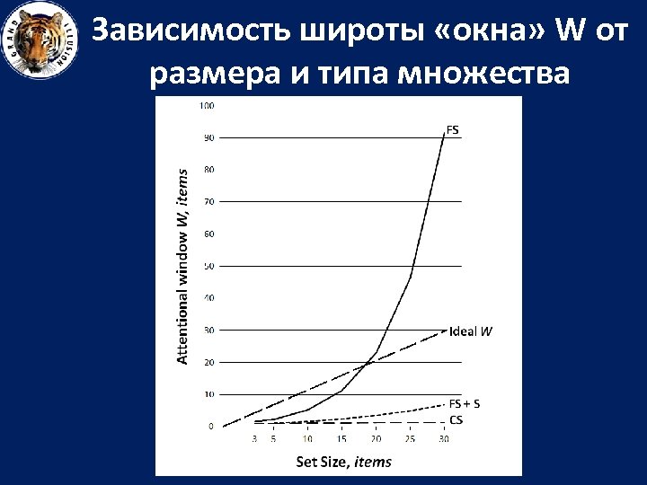Зависимость широты «окна» W от размера и типа множества 