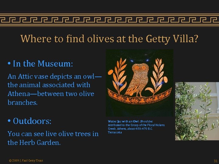 Where to find olives at the Getty Villa? • In the Museum: An Attic