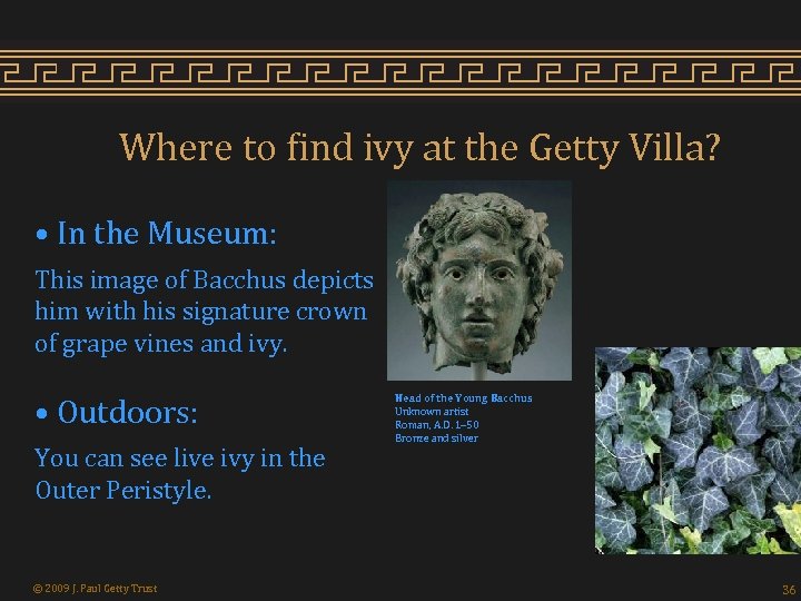 Where to find ivy at the Getty Villa? • In the Museum: This image