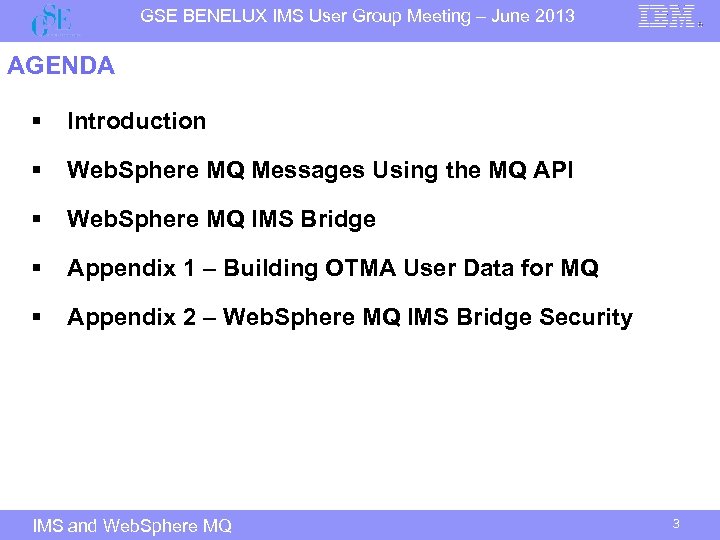 GSE BENELUX IMS User Group Meeting – June 2013 AGENDA § Introduction § Web.