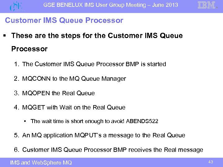 GSE BENELUX IMS User Group Meeting – June 2013 Customer IMS Queue Processor §