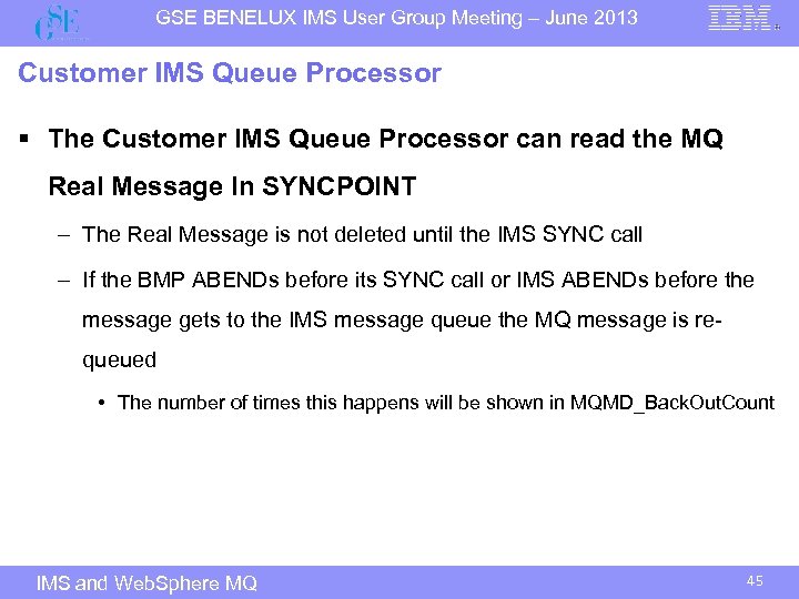 GSE BENELUX IMS User Group Meeting – June 2013 Customer IMS Queue Processor §