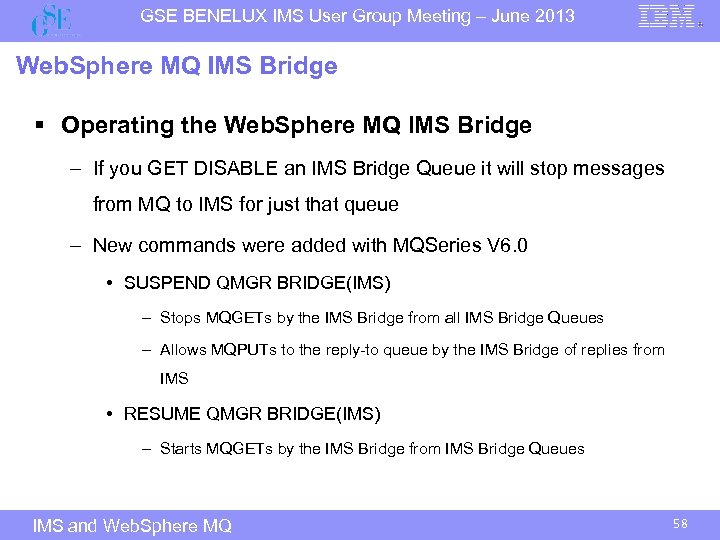 GSE BENELUX IMS User Group Meeting – June 2013 Web. Sphere MQ IMS Bridge