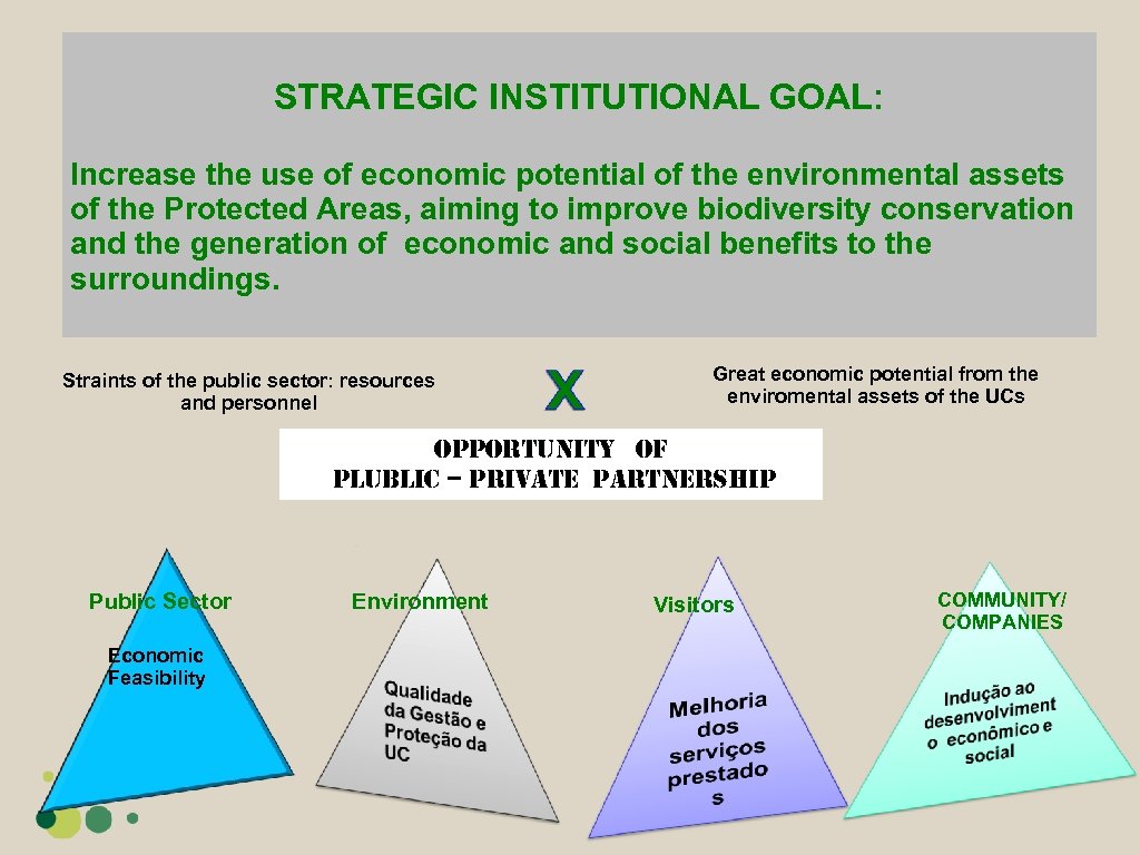 STRATEGIC INSTITUTIONAL GOAL: Increase the use of economic potential of the environmental assets of