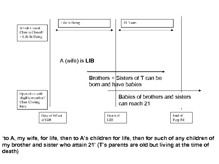A (wife) is LIB Brothers + Sisters of T can be born and have