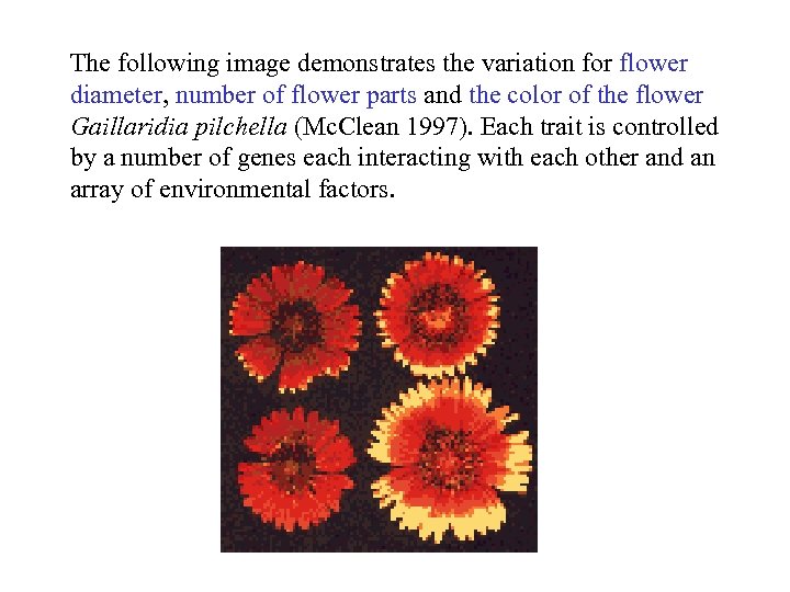 The following image demonstrates the variation for flower diameter, number of flower parts and