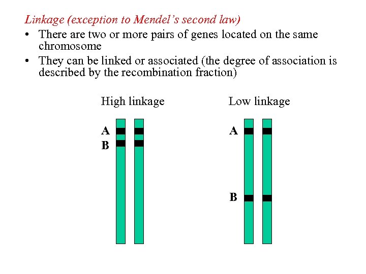 Linkage (exception to Mendel’s second law) • There are two or more pairs of