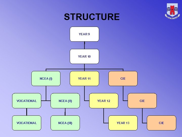 STRUCTURE YEAR 9 YEAR 10 NCEA (I) YEAR 11 VOCATIONAL NCEA (II) VOCATIONAL NCEA