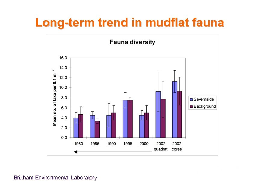 Long-term trend in mudflat fauna Brixham Environmental Laboratory 