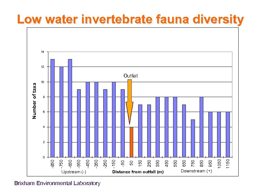Low water invertebrate fauna diversity 14 12 Number of taxa Outfall 10 8 6