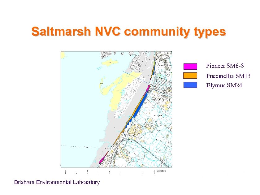 Saltmarsh NVC community types Pioneer SM 6 -8 Puccinellia SM 13 Elymus SM 24