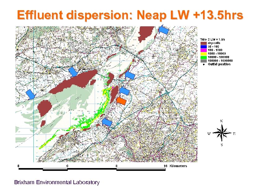 Effluent dispersion: Neap LW +13. 5 hrs Brixham Environmental Laboratory 