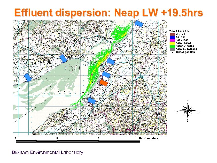 Effluent dispersion: Neap LW +19. 5 hrs Brixham Environmental Laboratory 
