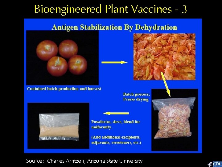 Bioengineered Plant Vaccines - 3 Source: Charles Arntzen, Arizona State University 