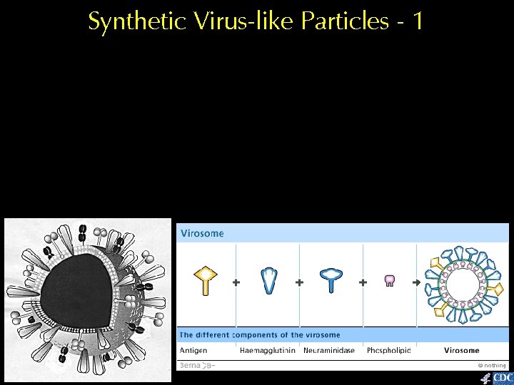 Synthetic Virus-like Particles - 1 