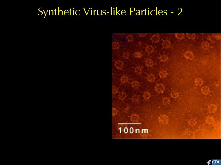 Synthetic Virus-like Particles - 2 