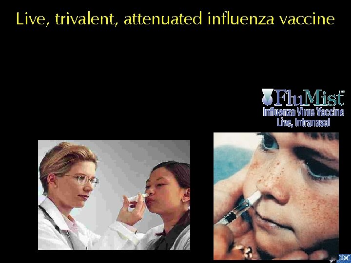 Live, trivalent, attenuated influenza vaccine 