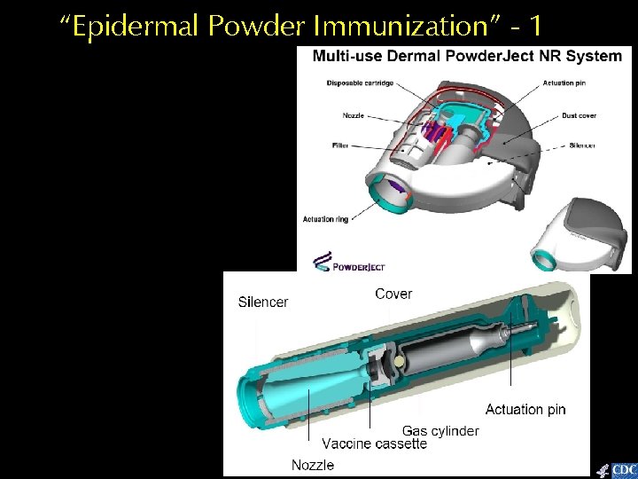 “Epidermal Powder Immunization” - 1 
