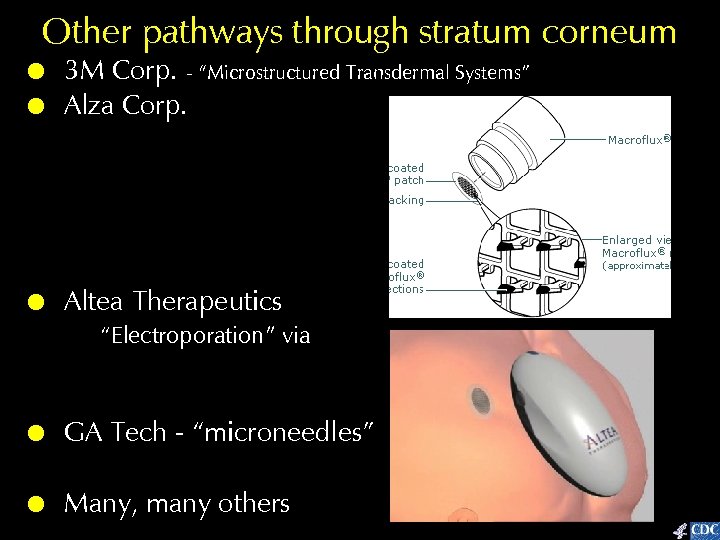 Other pathways through stratum corneum ! ! 3 M Corp. - “Microstructured Transdermal Systems”