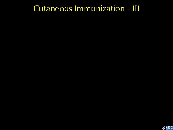 Cutaneous Immunization - III 