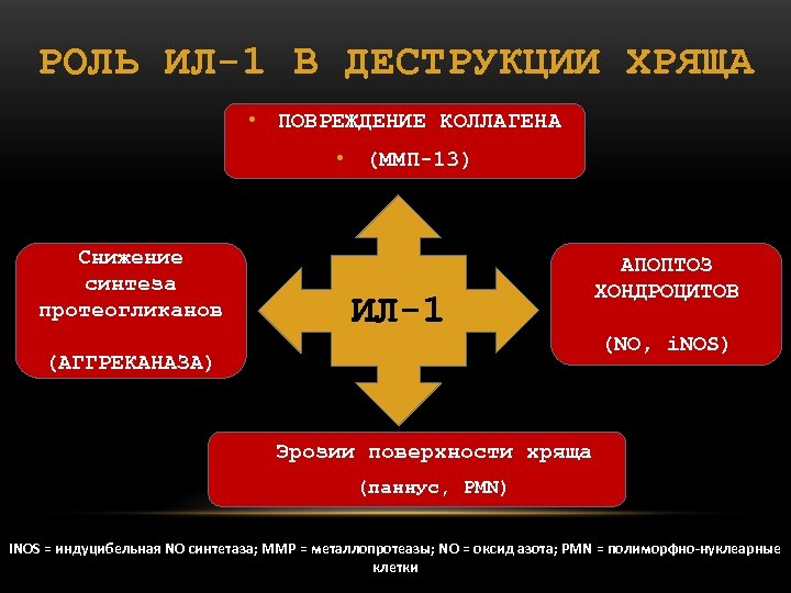 РОЛЬ ИЛ-1 В ДЕСТРУКЦИИ ХРЯЩА • ПОВРЕЖДЕНИЕ КОЛЛАГЕНА • (ММП-13) Снижение синтеза протеогликанов ИЛ-1