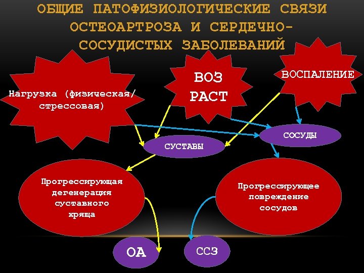 ОБЩИЕ ПАТОФИЗИОЛОГИЧЕСКИЕ СВЯЗИ ОСТЕОАРТРОЗА И СЕРДЕЧНОСОСУДИСТЫХ ЗАБОЛЕВАНИЙ Нагрузка (физическая/ стрессовая) ВОЗ РАСТ ВОСПАЛЕНИЕ СОСУДЫ