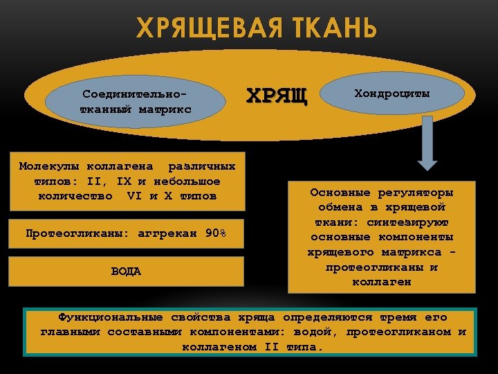 ХРЯЩЕВАЯ ТКАНЬ Соединительнотканный матрикс Молекулы коллагена различных типов: II, IX и небольшое количество VI