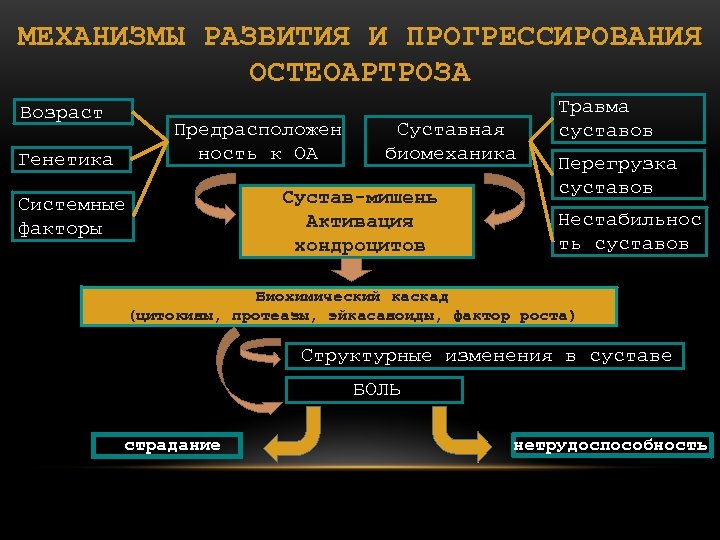 МЕХАНИЗМЫ РАЗВИТИЯ И ПРОГРЕССИРОВАНИЯ ОСТЕОАРТРОЗА Возраст Предрасположен ность к ОА Генетика Суставная биомеханика Сустав-мишень