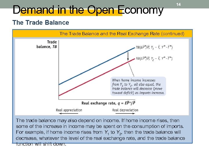 Demand in the Open Economy 14 The Trade Balance and the Real Exchange Rate