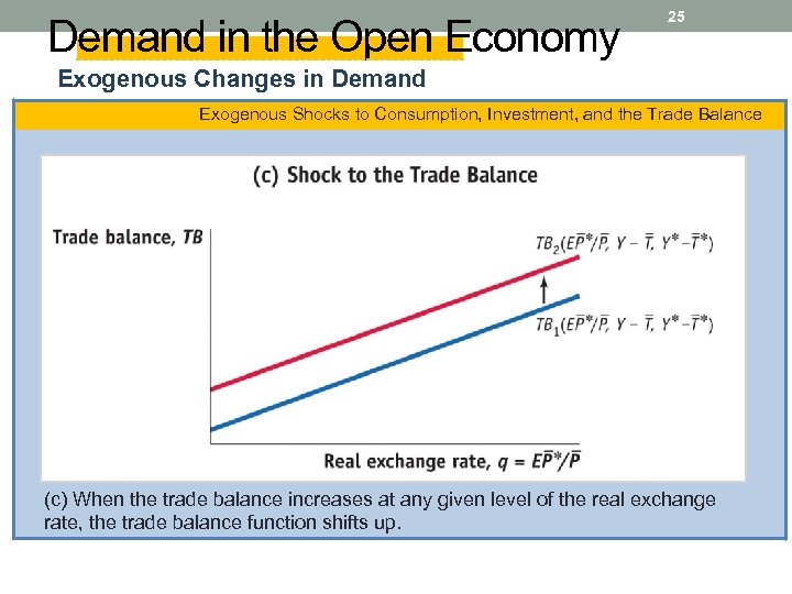 Demand in the Open Economy 25 Exogenous Changes in Demand Exogenous Shocks to Consumption,