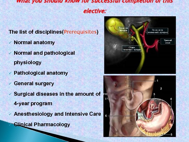 What you should know for successful completion of this elective: The list of disciplines(Prerequisites)