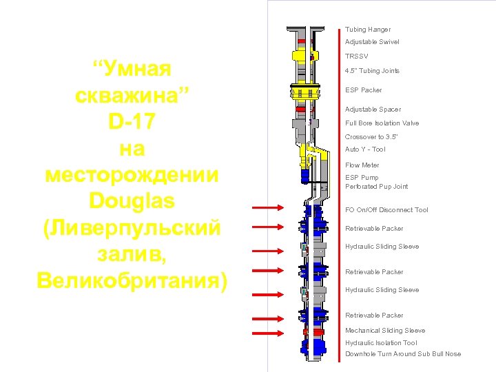 Tubing Hanger Adjustable Swivel “Умная скважина” D-17 на месторождении Douglas (Ливерпульский залив, Великобритания) TRSSV